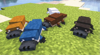 Platypus Variants