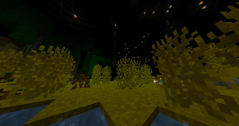 The between (Gurshroom forest)