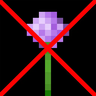 Invisible Flowers