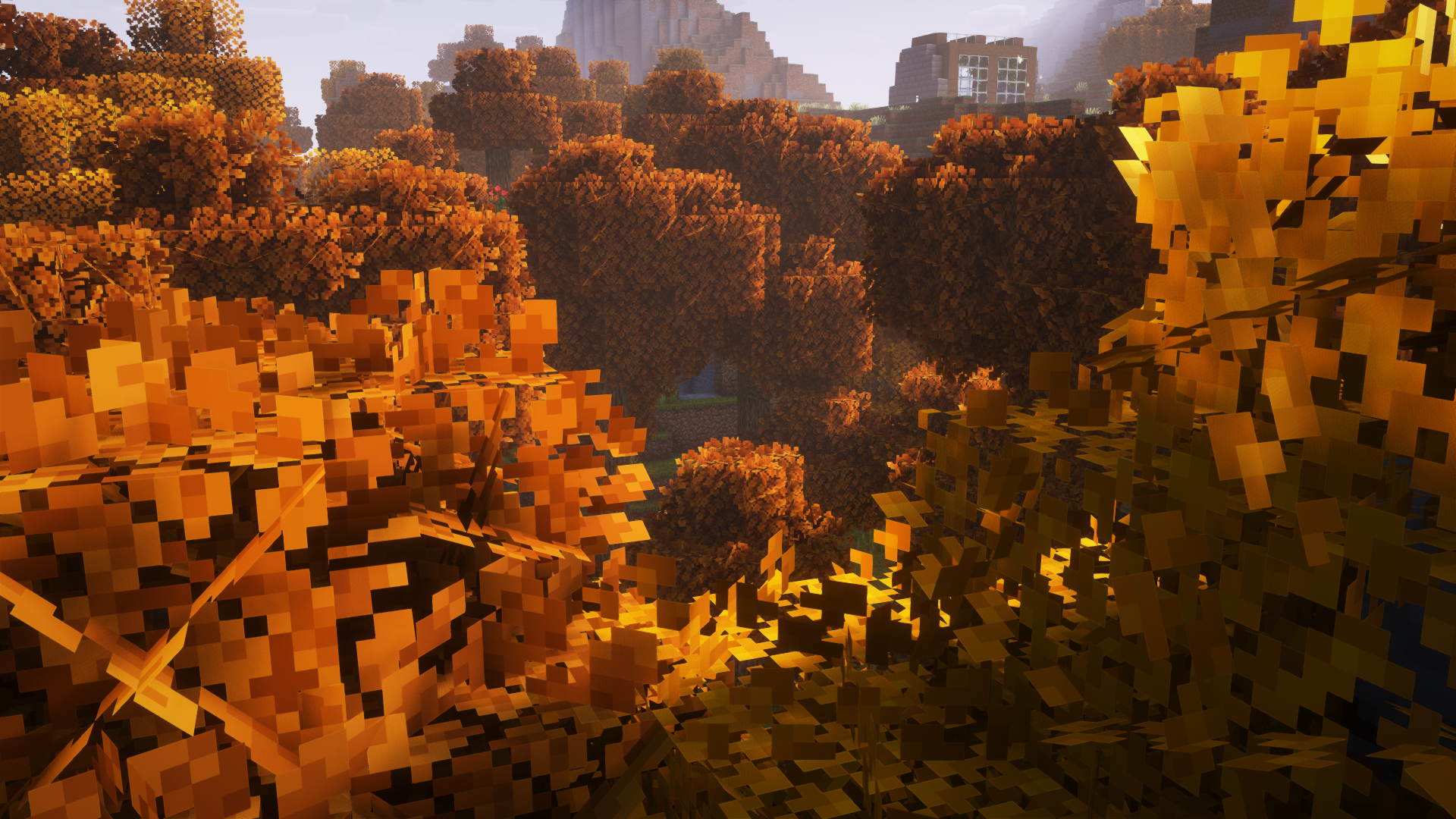 A screenshot of a forest with orange and yellow bushy leaves