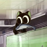 catthatdrinkssprite
