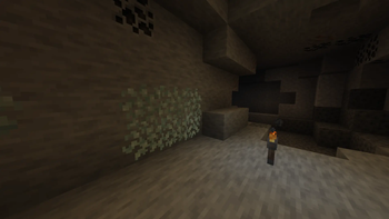 Without shaders