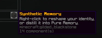 Synthetic Memory
