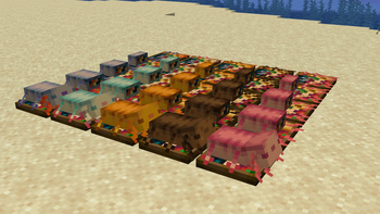 All Stuffed Axolotl Stages & Variants