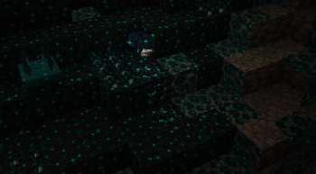 Shimmering Mushrooms and Deep Coal Ore generated in Deep Dark