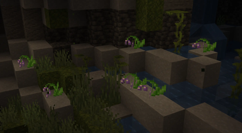 Chessflowers naturally generated in Lush Caves