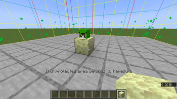 Just Place a Block to Protect Chunk