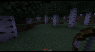Enderman Follows Player