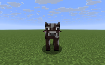 Cows Plus Plus