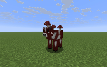 Cows Plus Plus