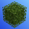 Simple Connected Leaves