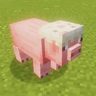 cake pig