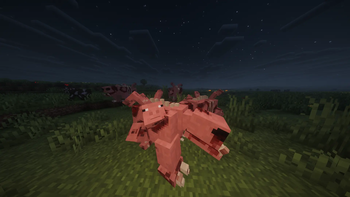 Rot Pig
