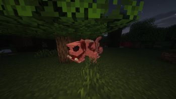 Rot Pig Roar