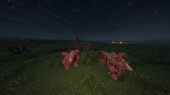 Rot Pigs in Plains