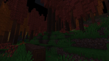 Glowing Hickory Forest