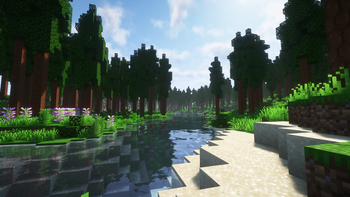 Hickory Forest