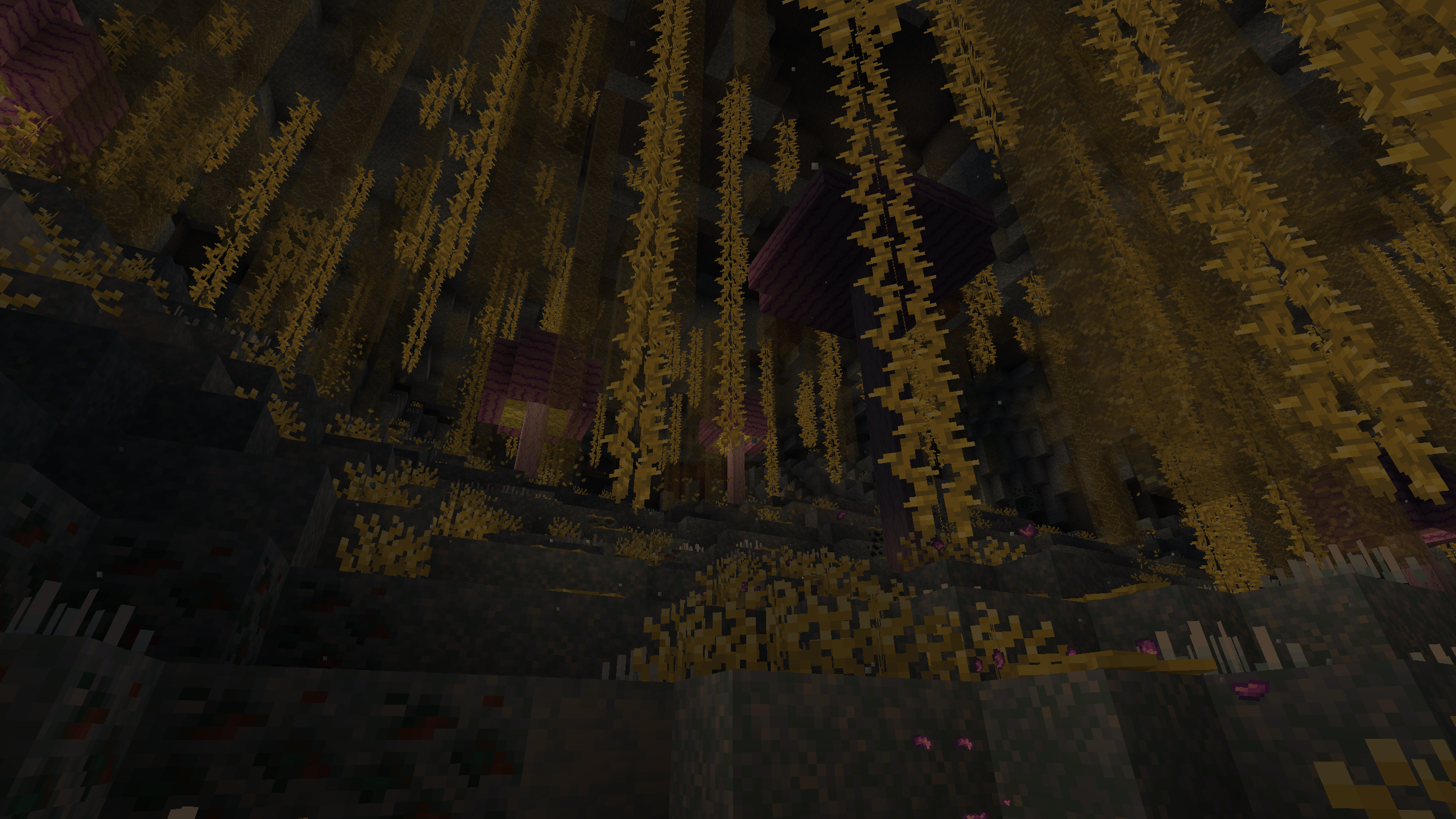 Vibrion Hive 1