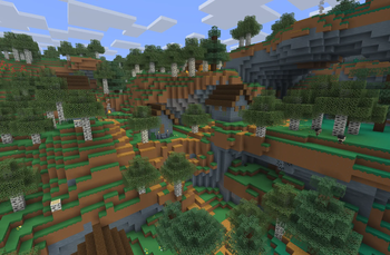 Village