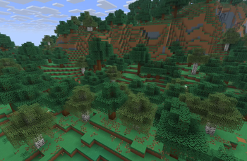 Forest