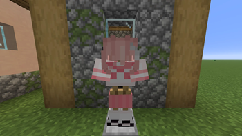 Armor showcase