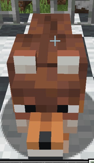Brown Dog 2
