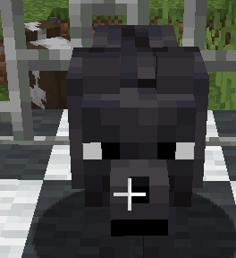 Black Dog