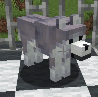 White Dog