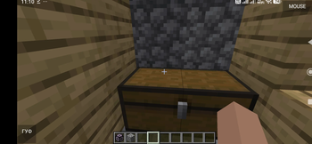 Chest