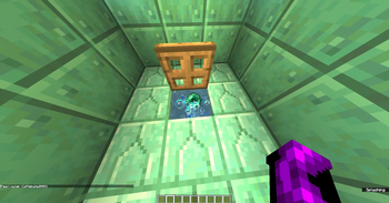Ender Pearl Checker — screenshot 1