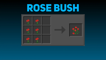 Rose Bush