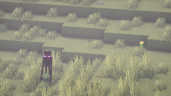 Enderman by Rocks and Sticks w/ Shaders