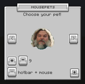 Custom Pet
