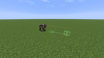 Cow walking