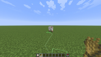 Sheep following me