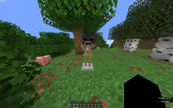 Wither Heart Demonstration