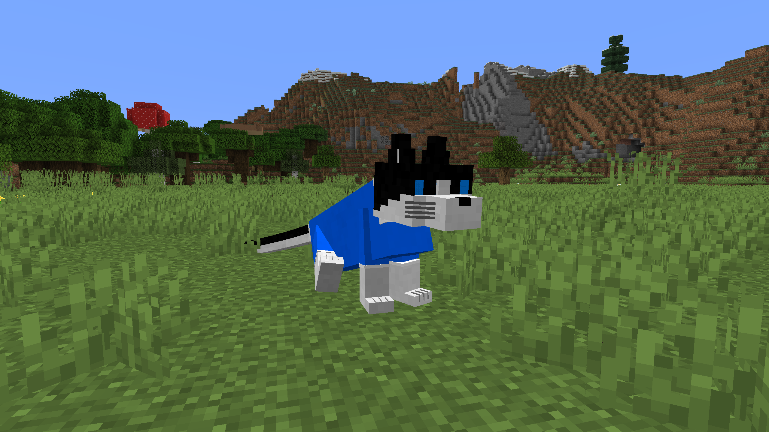 Flashfur is sitting in the plains biome. There is a dark oak forest and an extreme hills biome in the background.