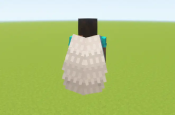 Elytra when worn
