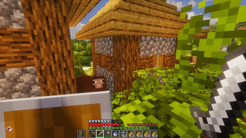 Village house and mobs