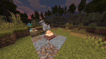 Is that the White Arabian?!
