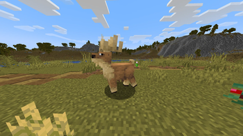 A deer from Naturalist