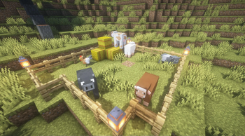 Farm Animals