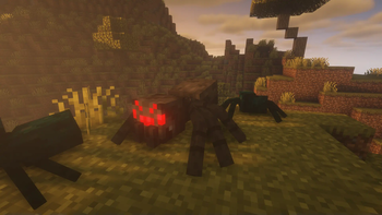 Spider
