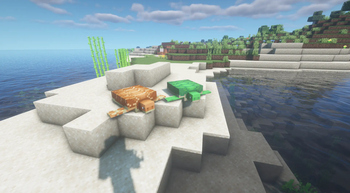 Turtles