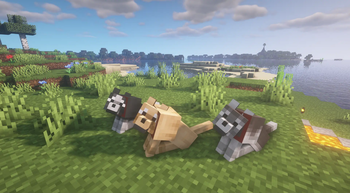 Tamed Wolves