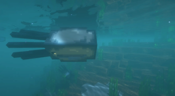 Squid