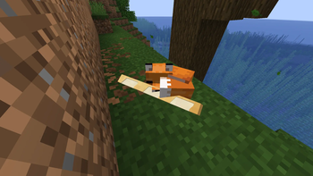 Fox1