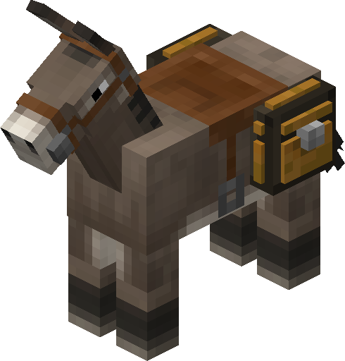 Donkey