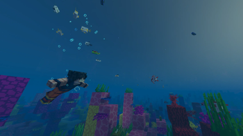 Under the sea