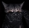 Modrinth profile picture for @Mend